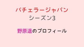 バチェラー3野原遥の性格やミス・ユニバース