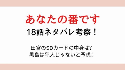 あなたの番です18話ネタバレ考察!田宮のSDのカード