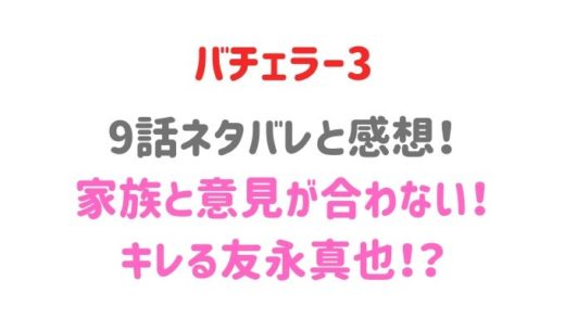 9話ネタバレと感想!友永真也の家族と対面【野原遥】
