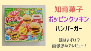 知育菓子ポッピンクッキンハンバーガーの味はまずい？食べた感想！