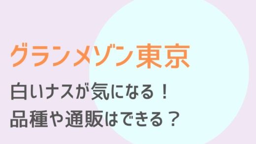 グランメゾン東京2話白ナス