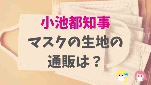 小池都知事の布マスクの生地の通販は
