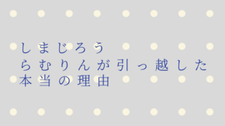 【しまじろう】らむりんが引っ越した理由と再登場した映画について