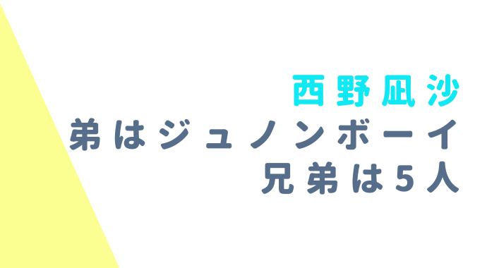 西野凪沙の弟はジュノンボーイ 5人姉弟で仮面ライダー共演の可能性は るーののブログ