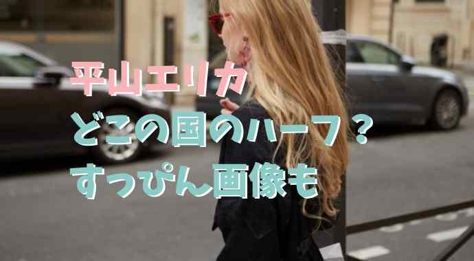 平山エリカはどこの国のハーフ すっぴん画像やセレブは嘘の噂を調査 るーののブログ