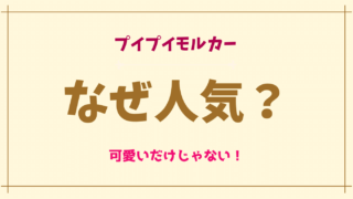 プイプイモルカーはなぜ人気？理由は可愛いだけじゃない？