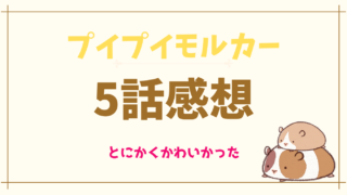 プイプイモルカー5話プイプイレーシングあらすじネタバレと感想！可愛すぎて癒やされる