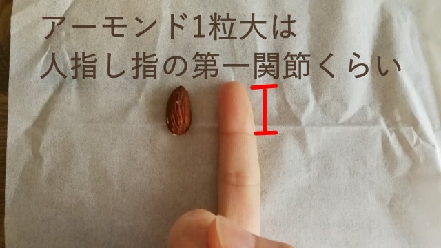 アーモンド一粒分の量は人差し指の第一関節くらい