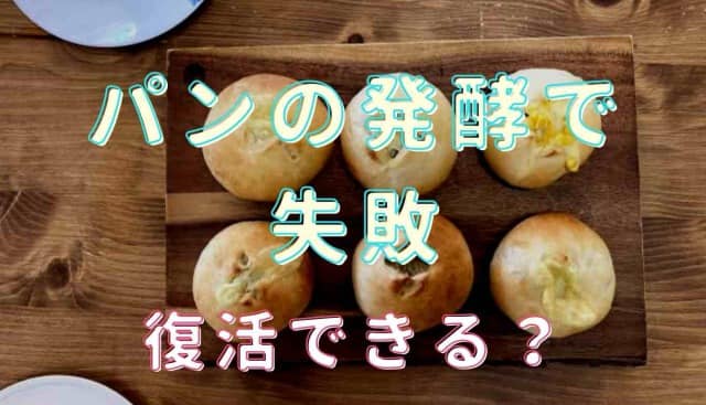 パンの発酵で失敗したら復活できる 一次発酵と2次発酵の対処法を紹介 るーののブログ