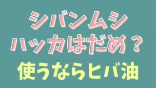 シバンムシにハッカは逆効果で寄ってくる？使うならヒバ油