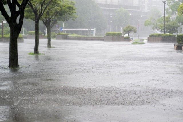 通り雨の特徴