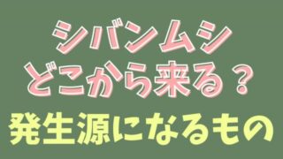 シバンムシはどこから入ってくる？発生源になるものをチェック