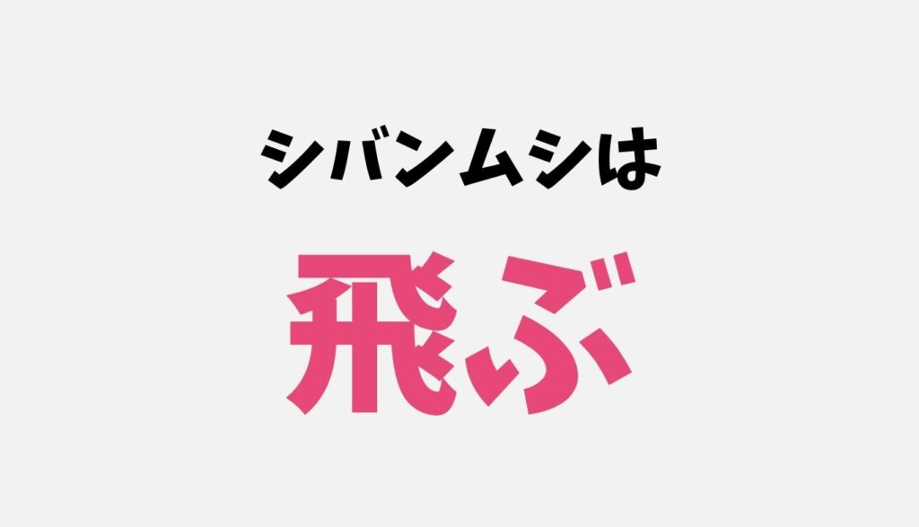 シバンムシは飛ぶし噛む？