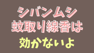 シバンムシに蚊取り線香は効果ある？