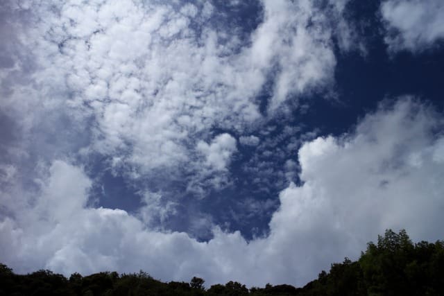 にわか雨の特徴