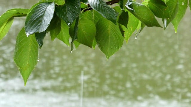 にわか雨と通り雨の違い