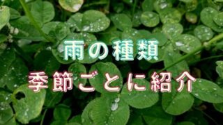 雨の種類を季節ごとに紹介