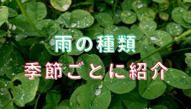 雨の種類を季節ごとに紹介