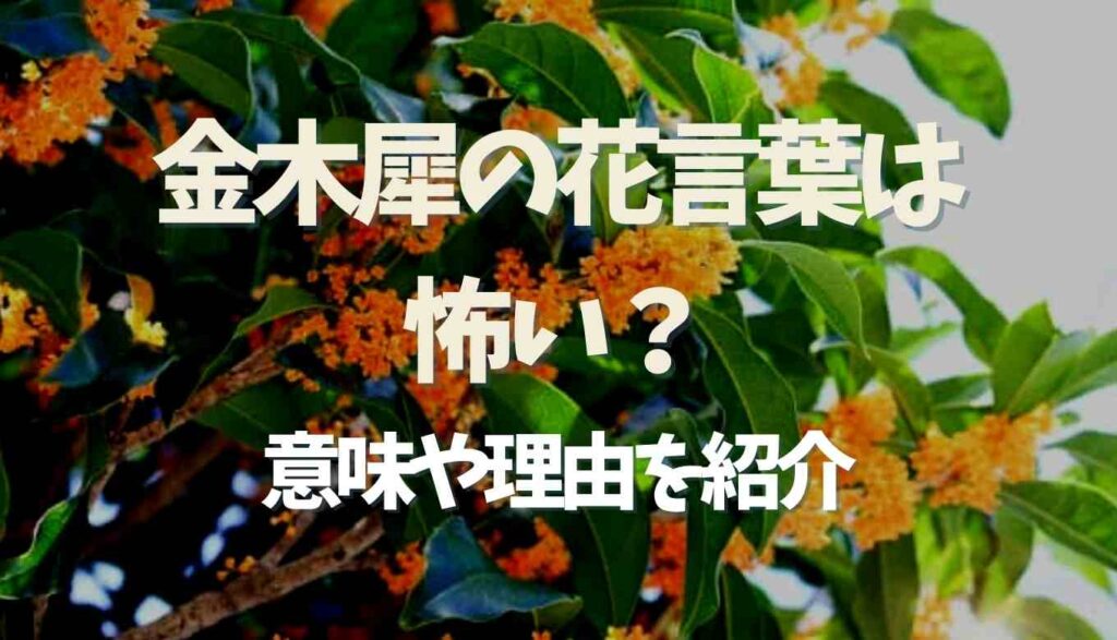 金木犀の花言葉が怖いと言われる理由は かくりよ 隠世 の意味も るーののブログ