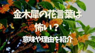 金木犀の花言葉は怖い？かくりよの意味も調査