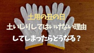 土用の丑の日に土いじりしてはいけない理由！してしまったらどうなる？