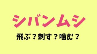 シバンムシは飛ぶし噛む？