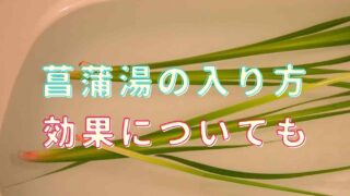 菖蒲湯の入り方！効果についても