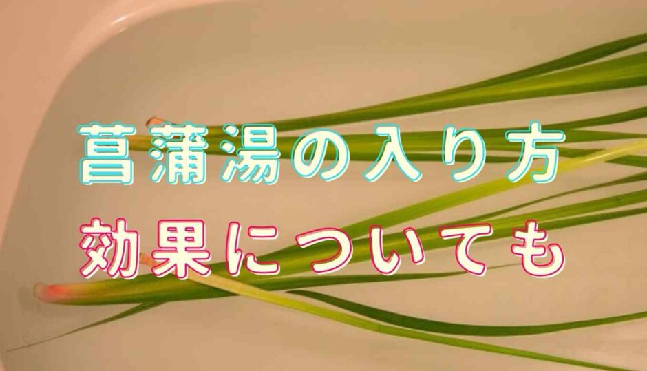 菖蒲湯の入り方！効果についても