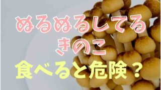 ぬるぬるしてるきのこは食べると危険？