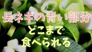 ネギの青い部分はどこまで食べられる？捨てる前に活用方法や食べ方をチェック