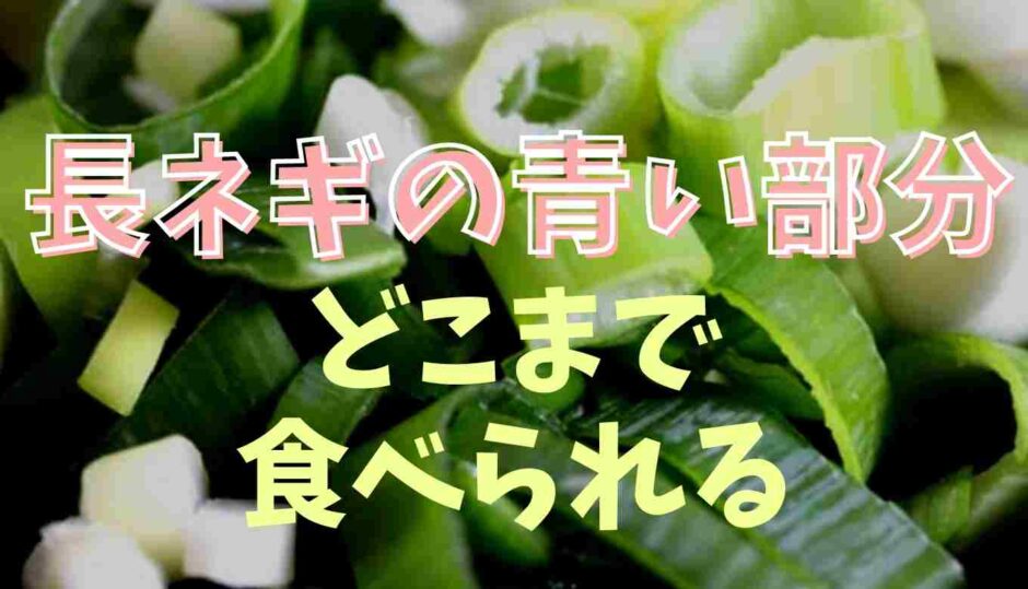 長ネギの青い部分はどこまで食べられる？