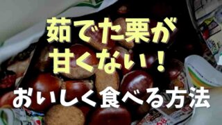 茹でた栗が甘くない！おいしく食べる方法を紹介