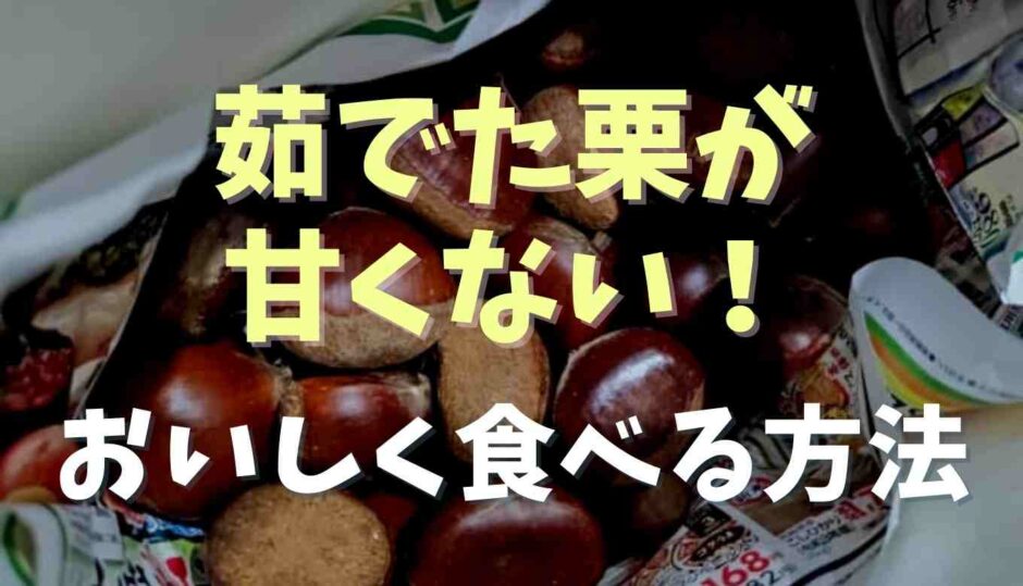 茹でた栗が甘くない！おいしく食べる方法を紹介