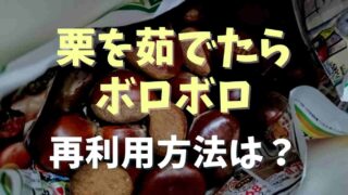 栗を茹ですぎたらボロボロに！崩れた栗の再利用方法は？