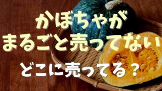 ハロウィンのかぼちゃの種類は？まるごとかぼちゃが売ってる場所も