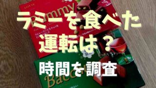 ラミーを食べたら何時間運転できない？アイスでも酔うか調査