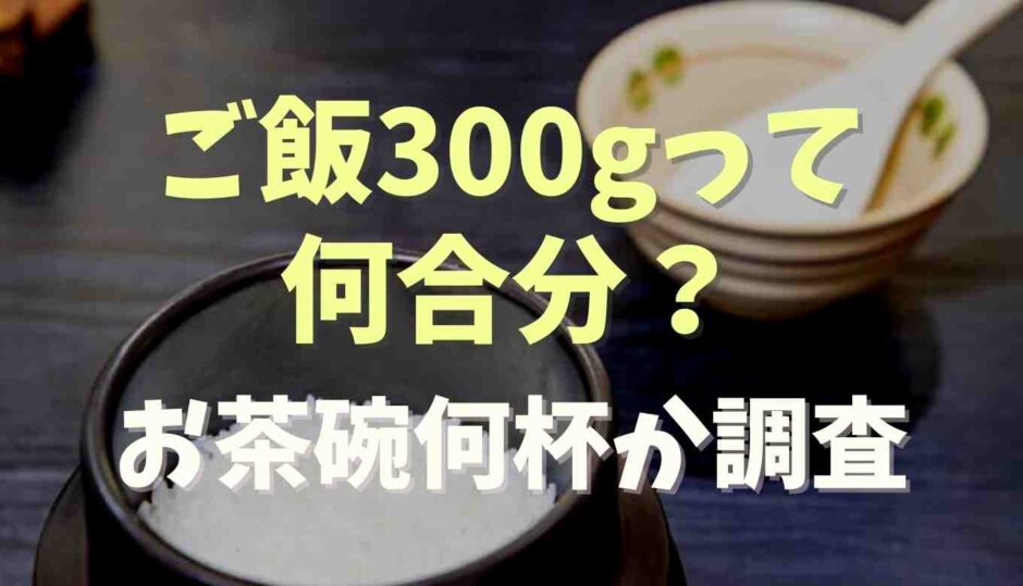 ご飯300gって何合分？お茶碗何杯か調査