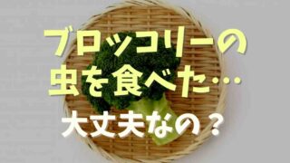 ブロッコリーの虫は食べても大丈夫なの？