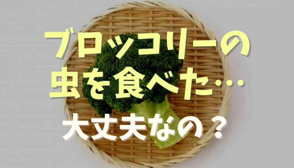 ブロッコリーの虫は食べても大丈夫なの？