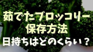 茹でたブロッコリーの日持ちは？保存方法も紹介