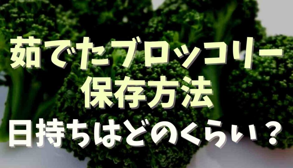 茹でたブロッコリーの日持ちは？保存方法も紹介