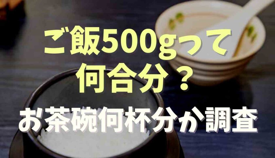 ご飯500gは何合分？お茶碗何杯か調査