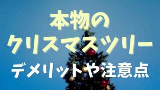 クリスマスツリーに本物を使うデメリットは？注意点も