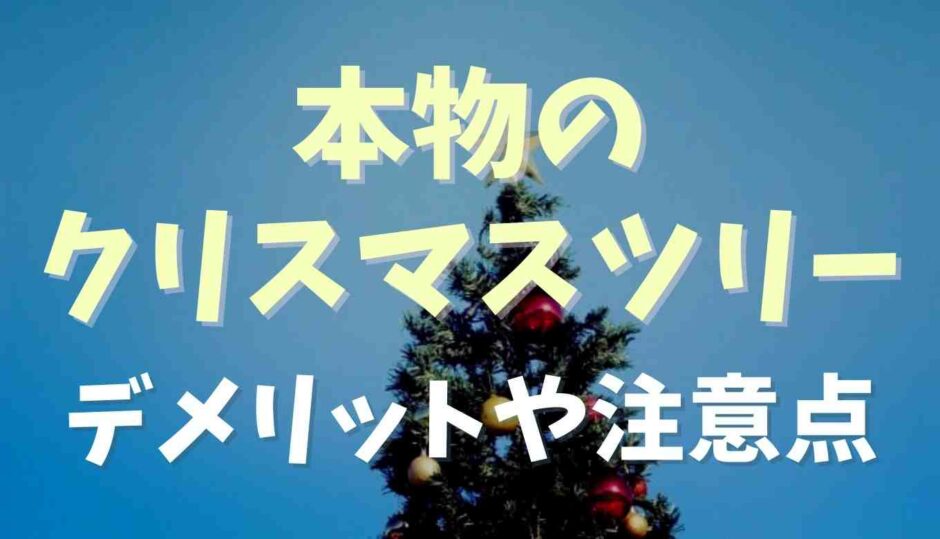 クリスマスツリーに本物を使うデメリットは？注意点も