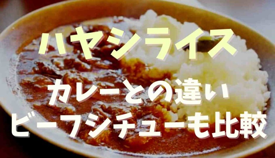 ハヤシライスとカレーの違いは？ビーフシチューとも比較