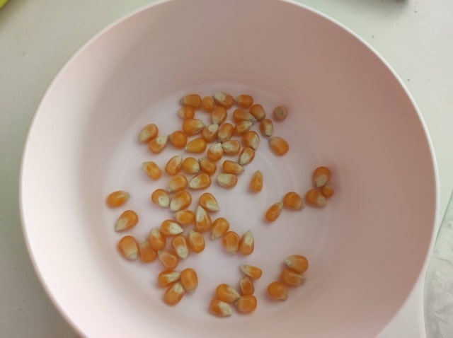 ポップコーンの豆