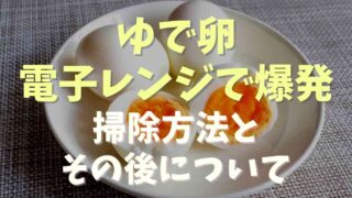 ゆで卵電子レンジで爆発！掃除方法とその後の使用について