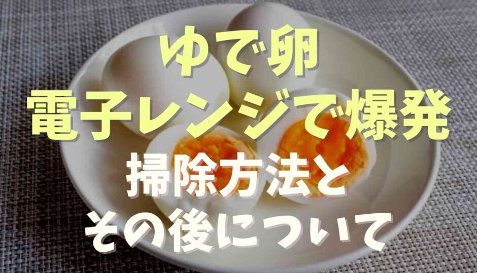 ゆで卵電子レンジで爆発！掃除方法とその後の使用について