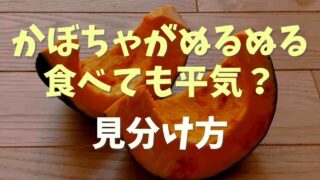 かぼちゃのぬめりは食べられる？大丈夫なぬるぬるの見分け方！