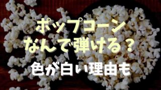 ポップコーンはなぜ白い？はじける理由についても！